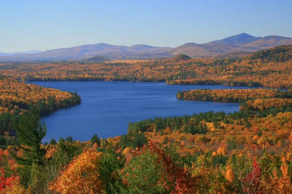 Lake view